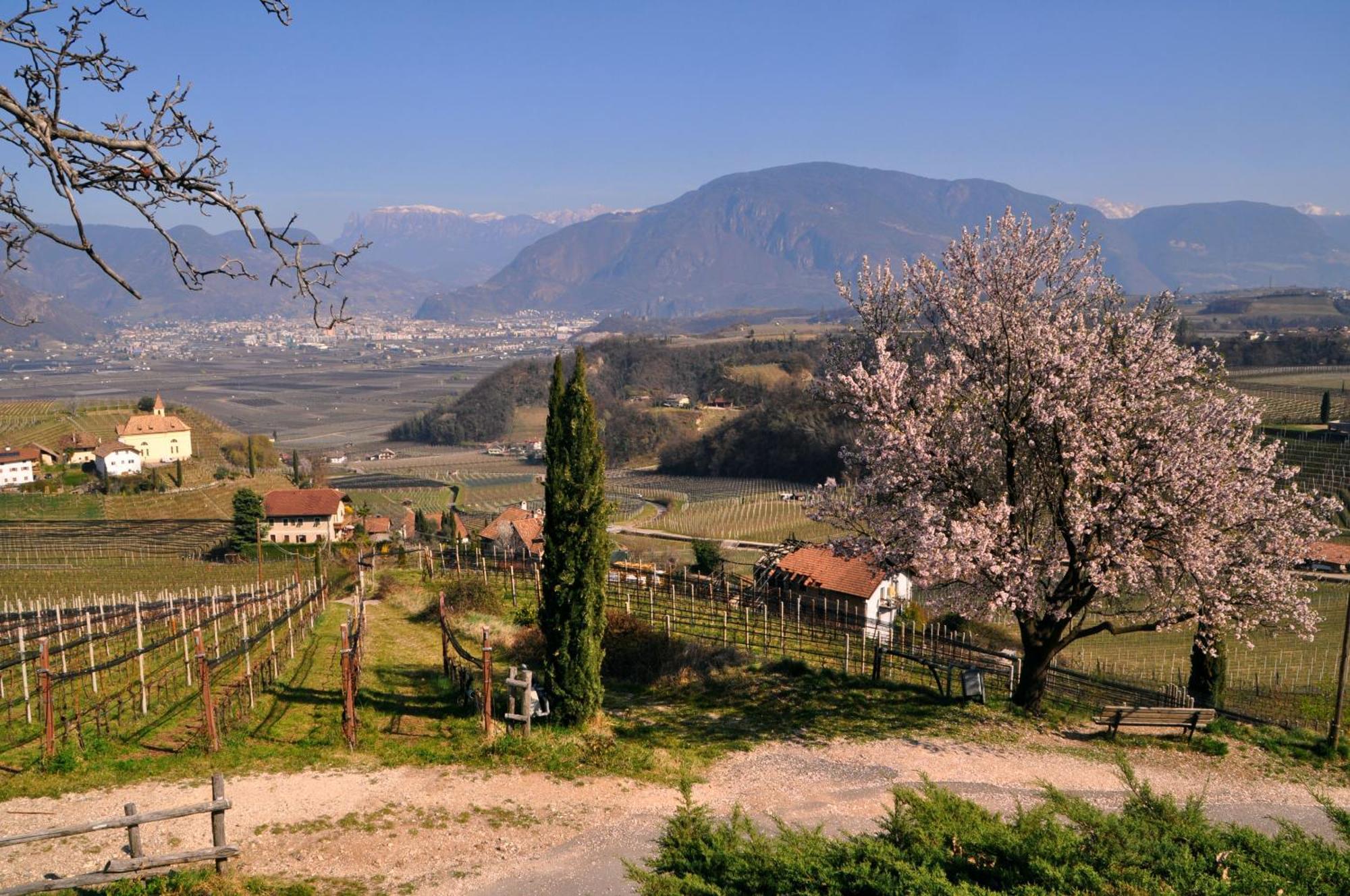 Firmelein Appartement Eppan an der Weinstraße Buitenkant foto